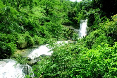 irapu-waterfalls-karnataka-india-beautiful-water-fall-in-forest-deep-forest-river-waterfall-34-B1